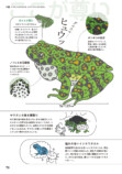 東大生によるカエル偏愛図鑑発売の画像