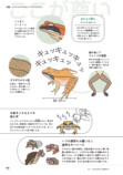 東大生によるカエル偏愛図鑑発売の画像