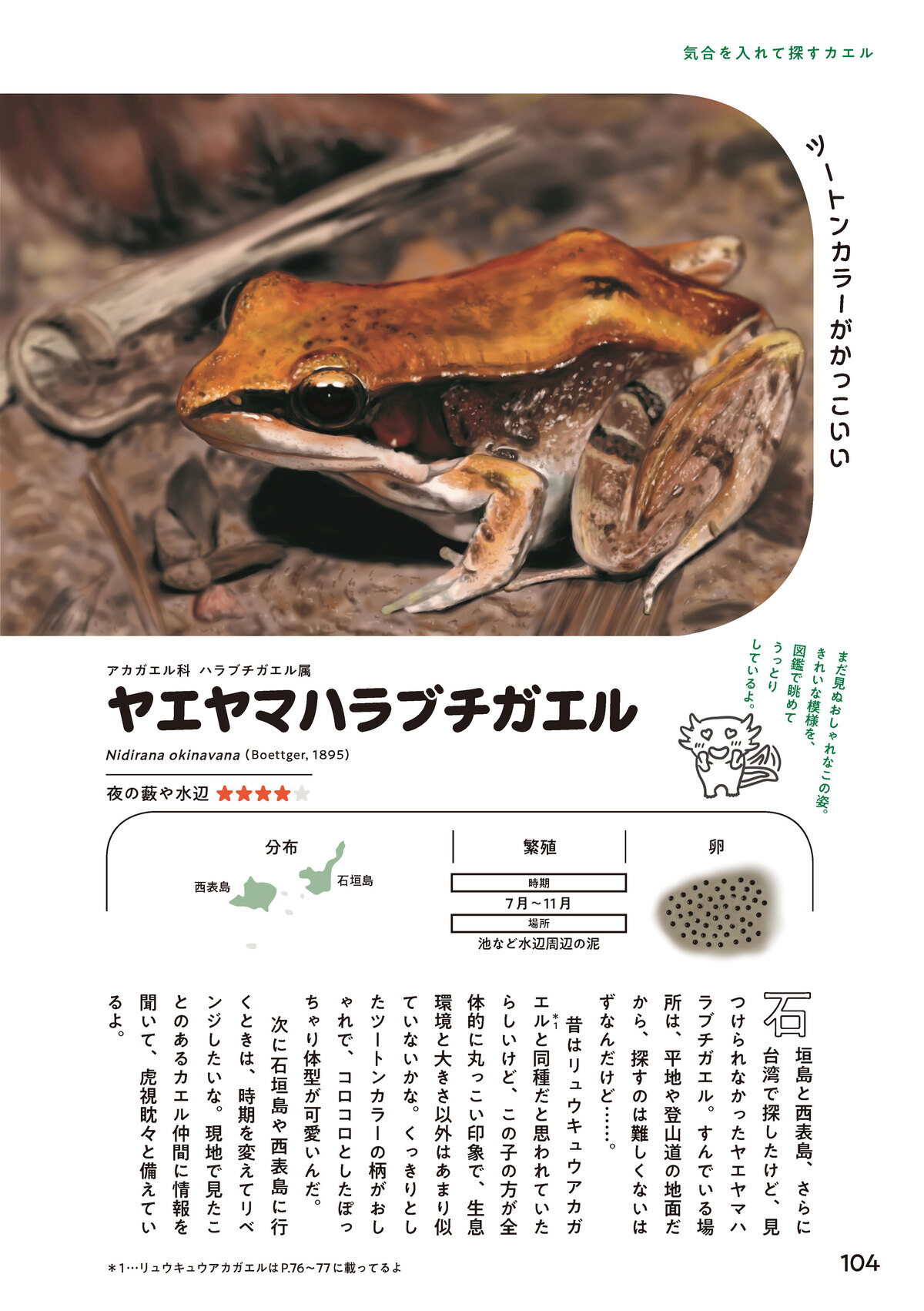 東大生によるカエル偏愛図鑑発売の画像