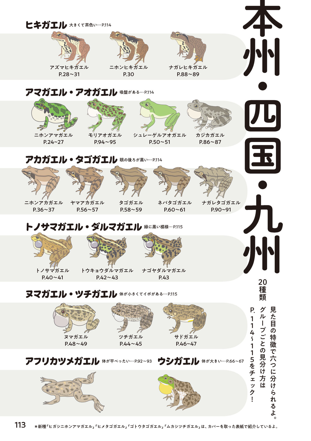 東大生によるカエル偏愛図鑑発売の画像