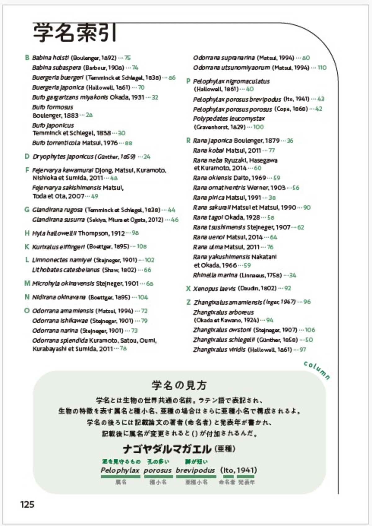東大生によるカエル偏愛図鑑発売の画像