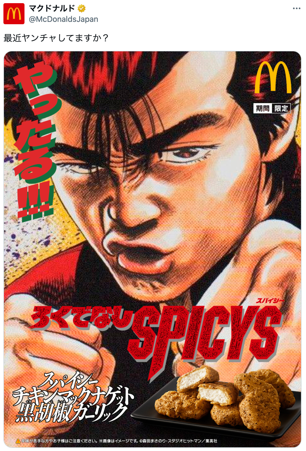 前田太尊”がマクドナルドCMに登場？ 伝説的ヤンキー漫画『ろくでなし