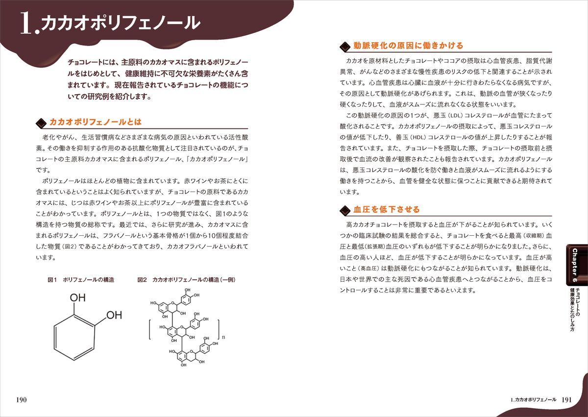 『チョコレート検定公式テキスト2026年版』の画像