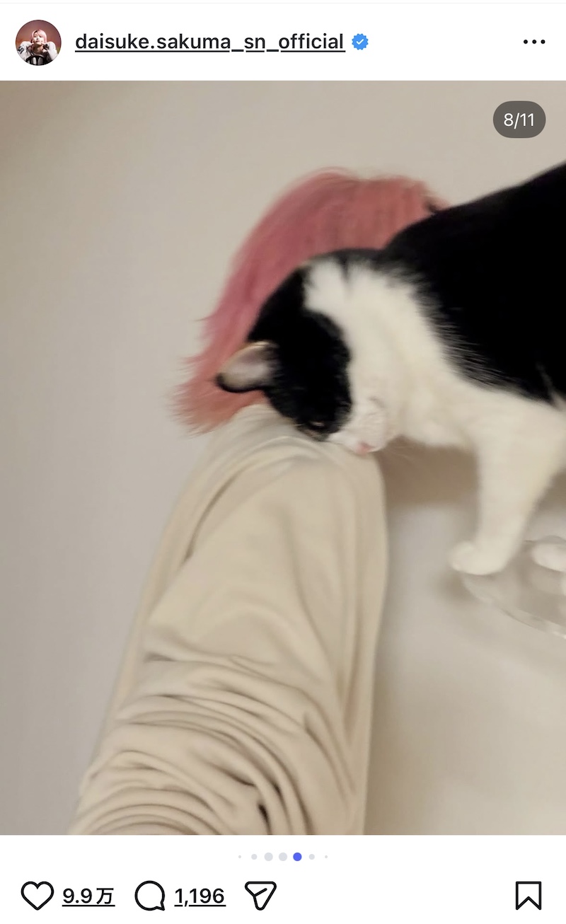 佐久間大介、愛猫2匹と幸せショット公開の画像