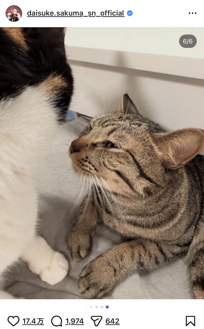 佐久間大介、愛猫2匹と幸せショット公開の画像