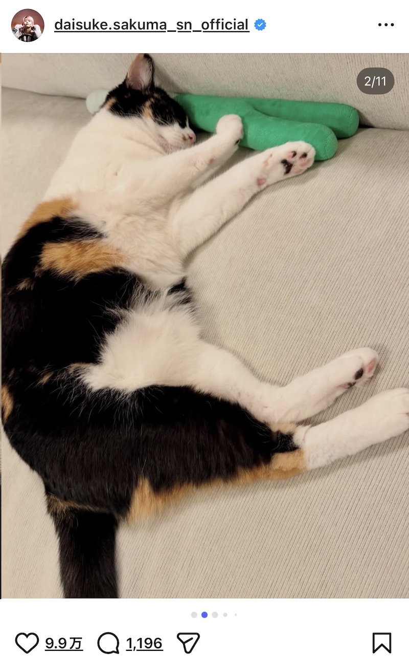 佐久間大介、愛猫2匹と幸せショット公開の画像