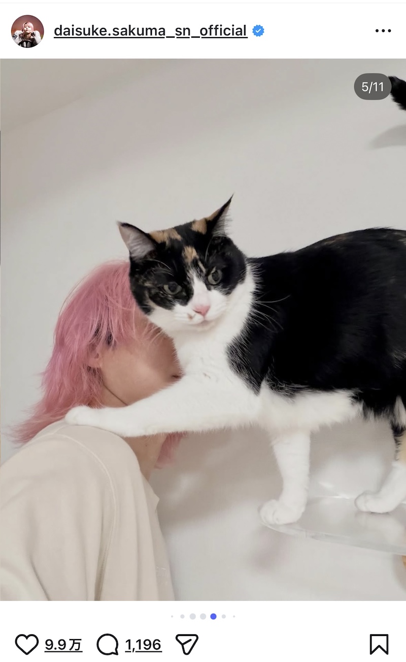 佐久間大介、愛猫2匹と幸せショット公開の画像