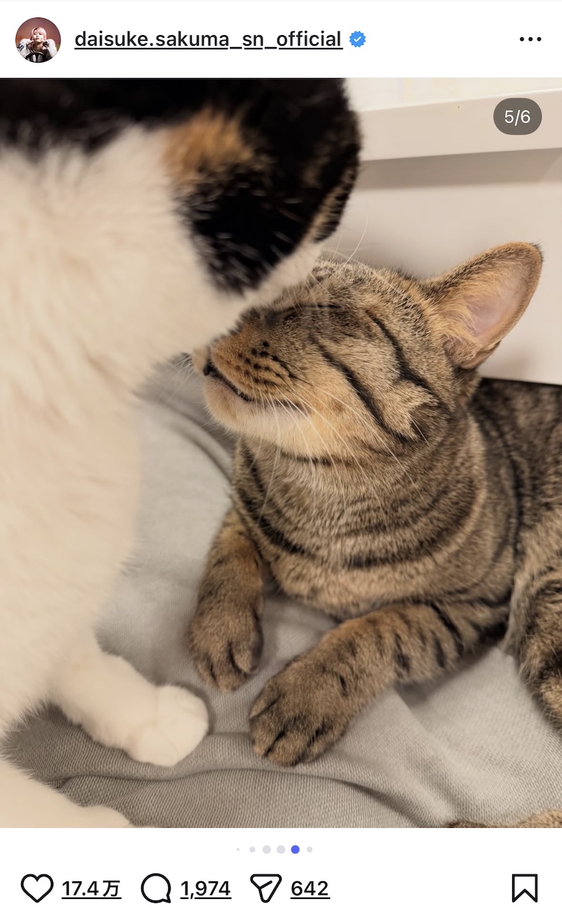 佐久間大介、愛猫2匹と幸せショット公開の画像