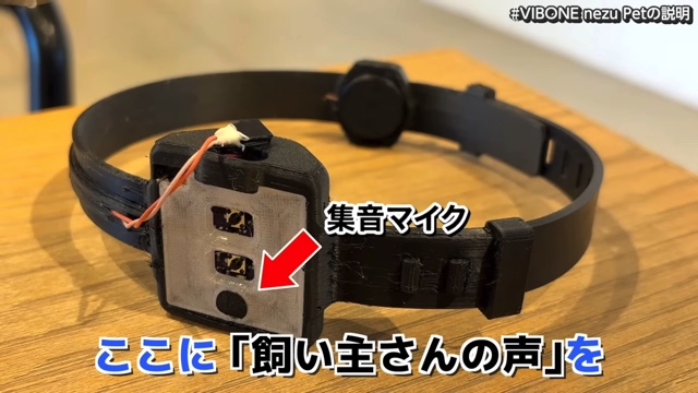 骨伝導集音器を装着した難聴のワンちゃん