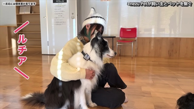 骨伝導集音器を装着した難聴のワンちゃん