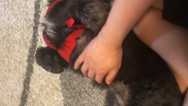 もずくに舐められ続ける銀次