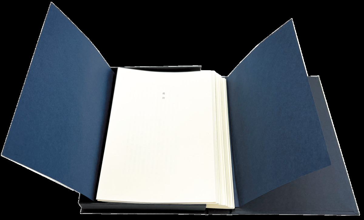 27パーツからなる函入り小説『不運な奴ら』の画像