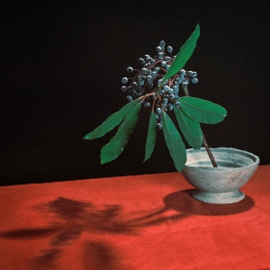 indigo la End「カグラ」ジャケット