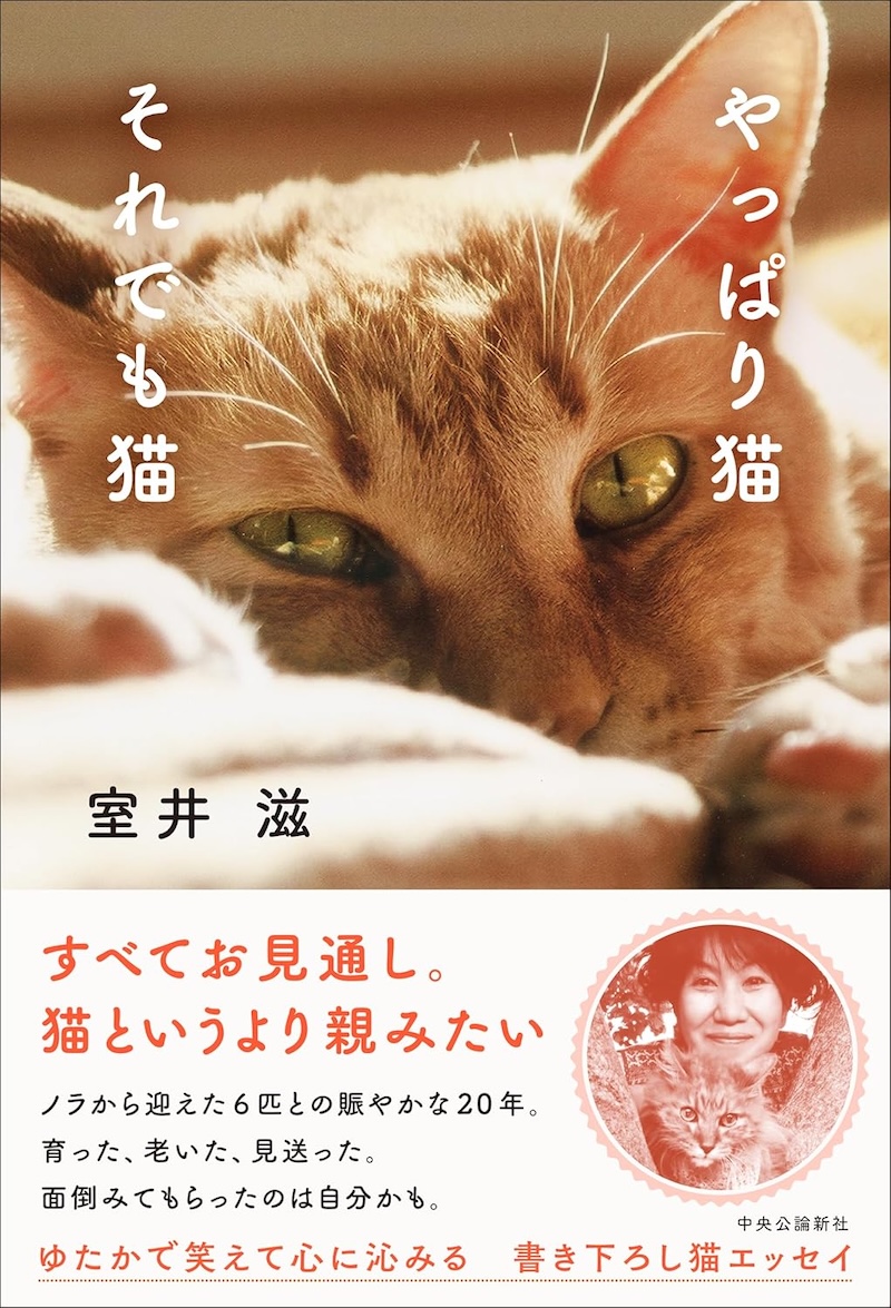 室井滋『やっぱり猫　それでも猫』