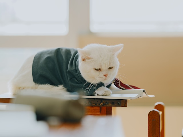 香取慎吾主演で『高校生家族』映画化の画像