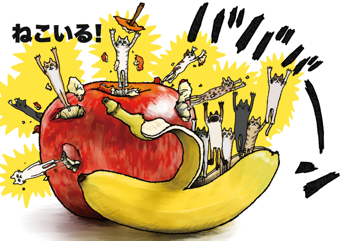 芸人たなかひかる絵本『ねこいる！いる！』の画像