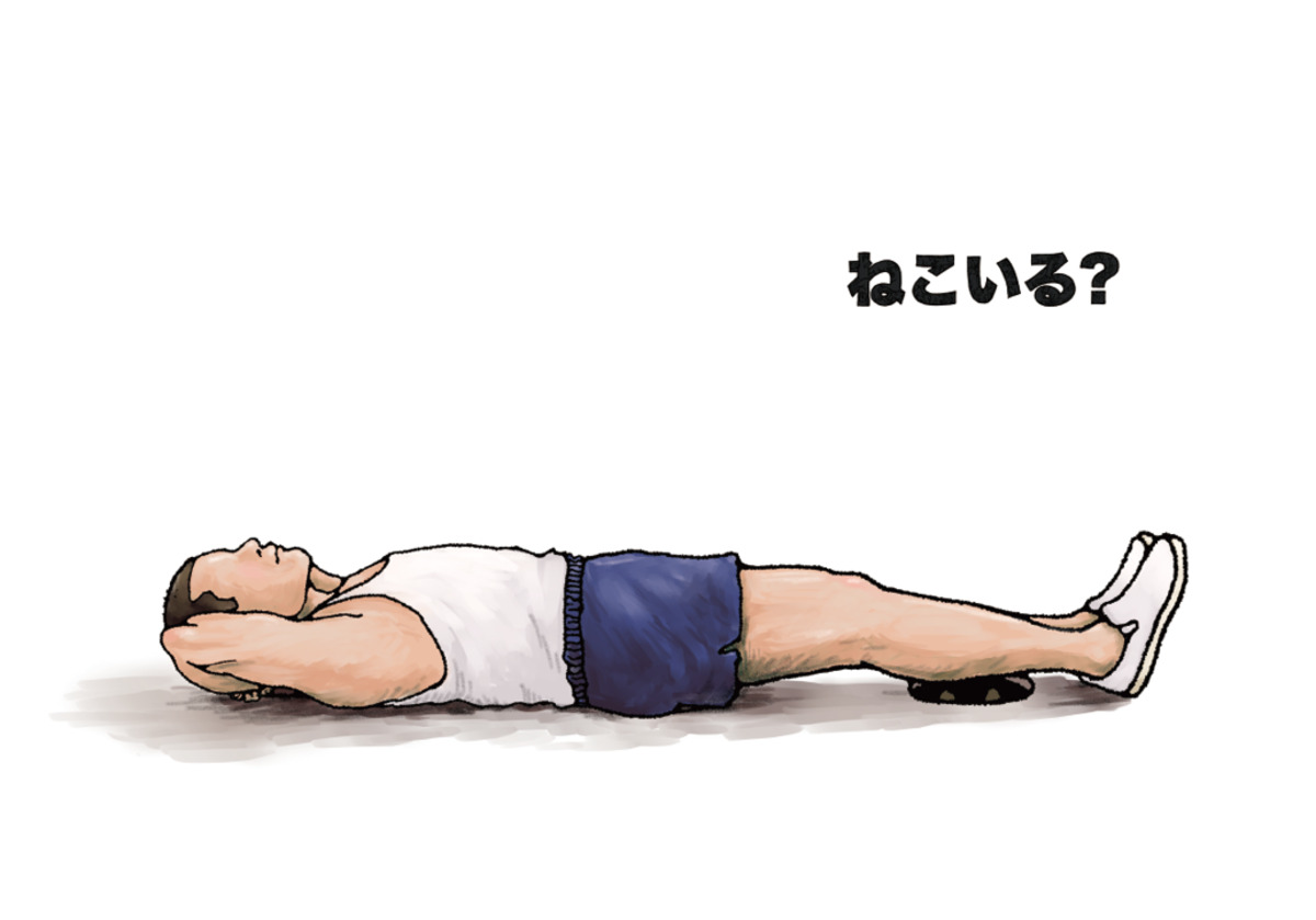 芸人たなかひかる絵本『ねこいる！いる！』の画像