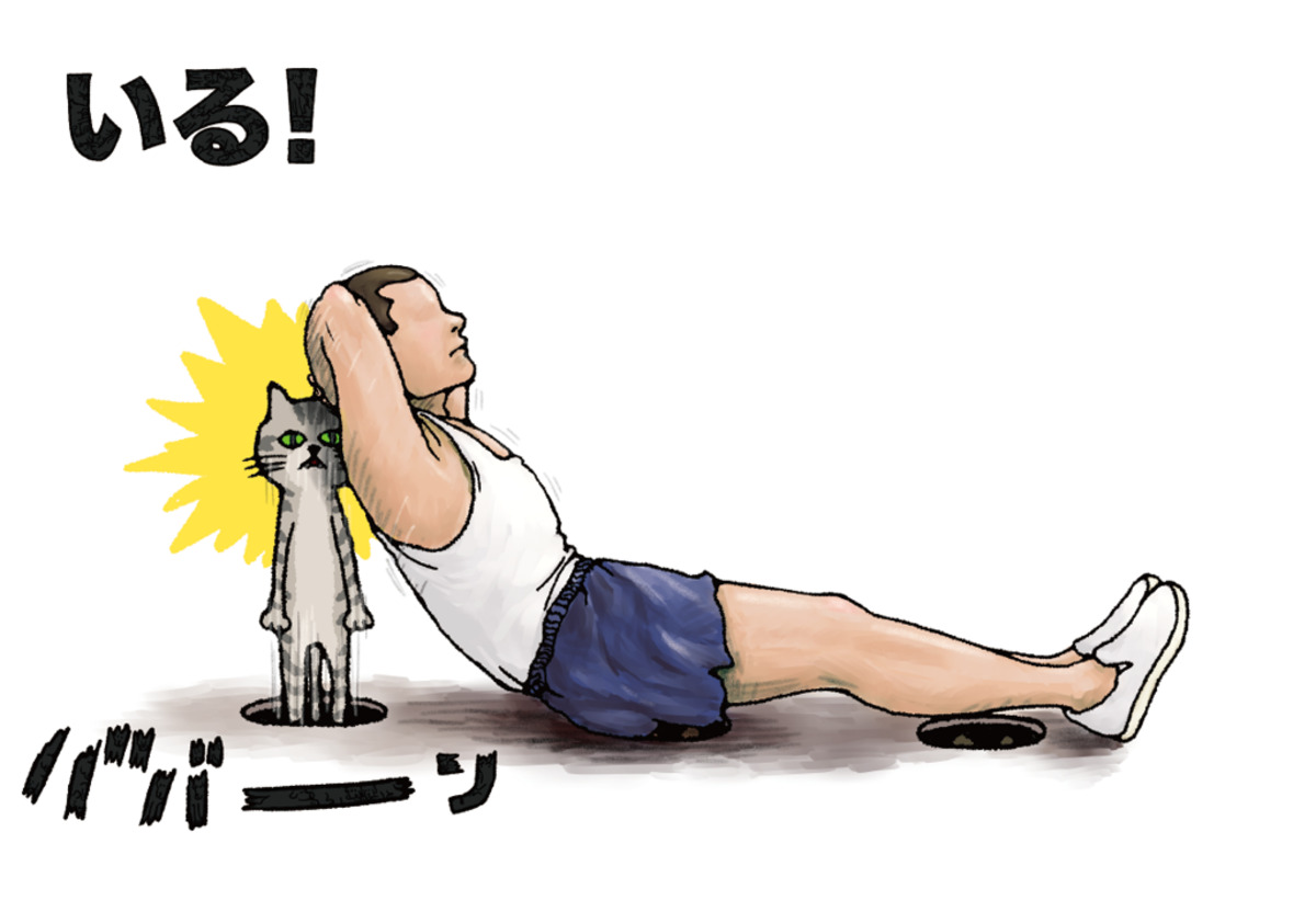 芸人たなかひかる絵本『ねこいる！いる！』の画像