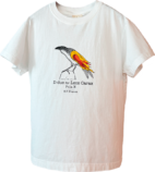 『ポーラX』4Kレストア版予告編＆新場面写真の画像