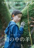 是枝裕和監督作『箱の中の羊』特報映像の画像