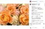 芳根京子公式Instagramより
