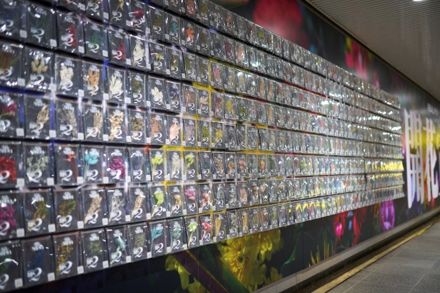 Aile The Shota「開花宣言」ピールオフ広告