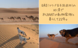 砂漠で200匹の動物と生きるフォトエッセイの画像