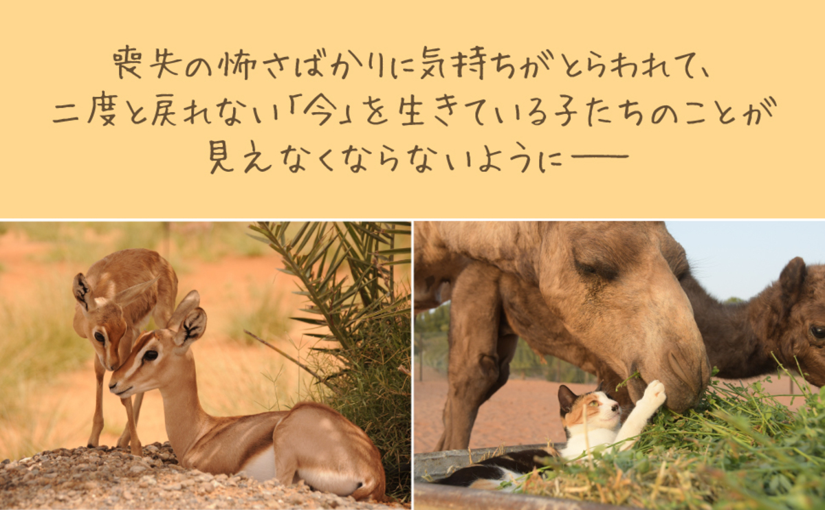砂漠で200匹の動物と生きるフォトエッセイの画像