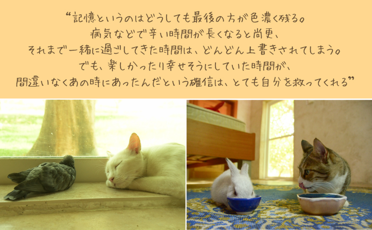 砂漠で200匹の動物と生きるフォトエッセイの画像