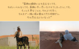 砂漠で200匹の動物と生きるフォトエッセイの画像