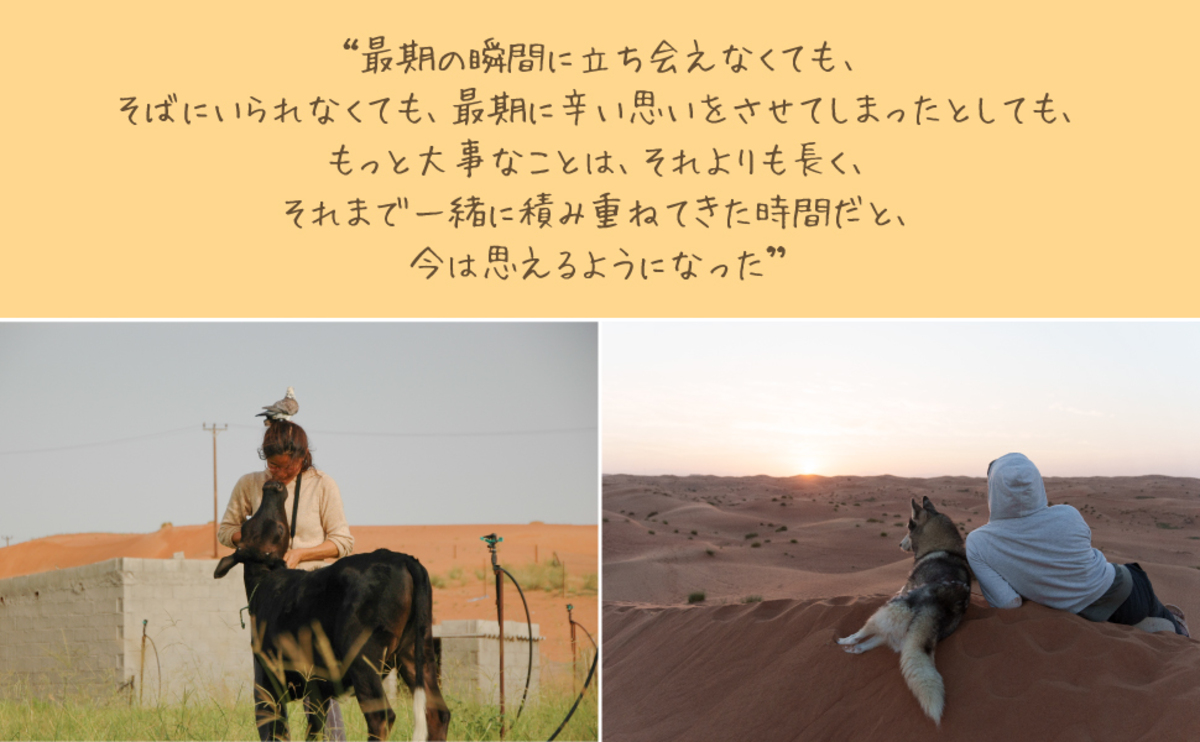 砂漠で200匹の動物と生きるフォトエッセイの画像