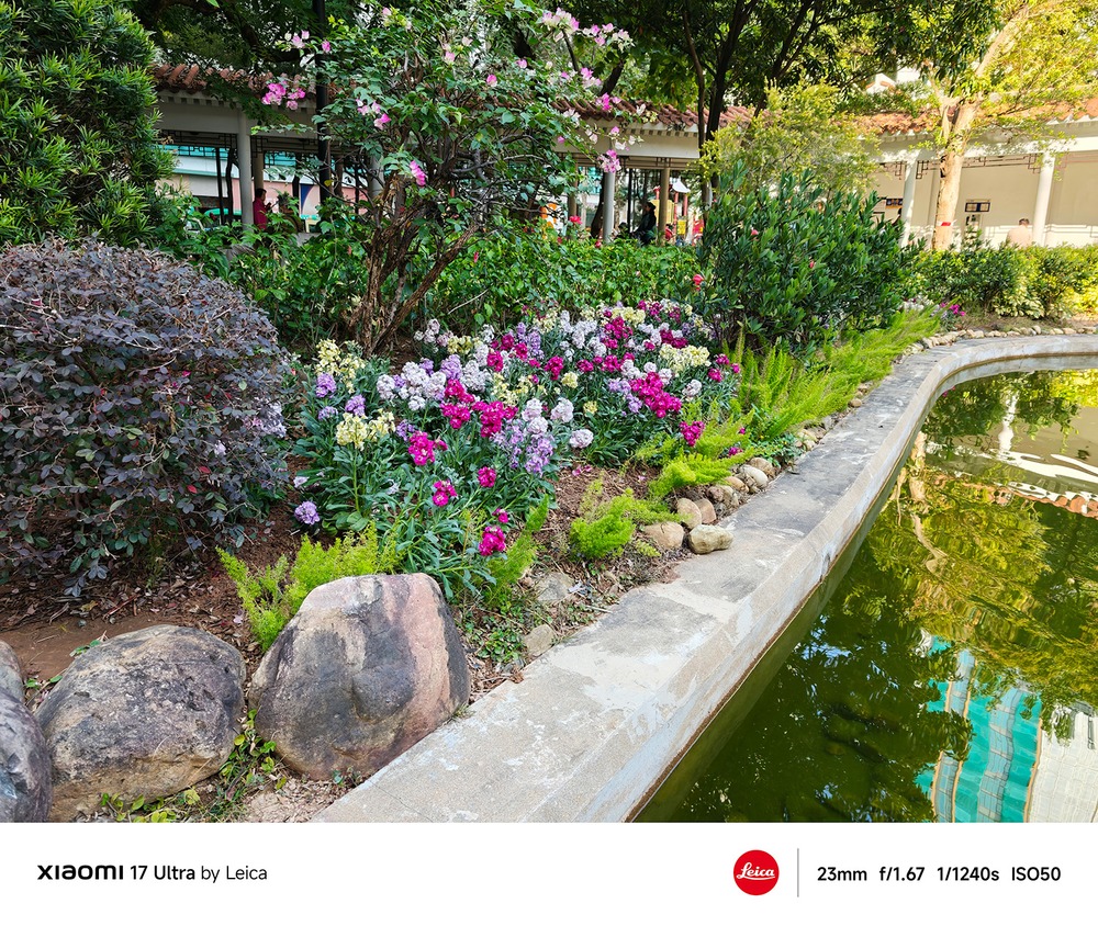 標準モードで撮影