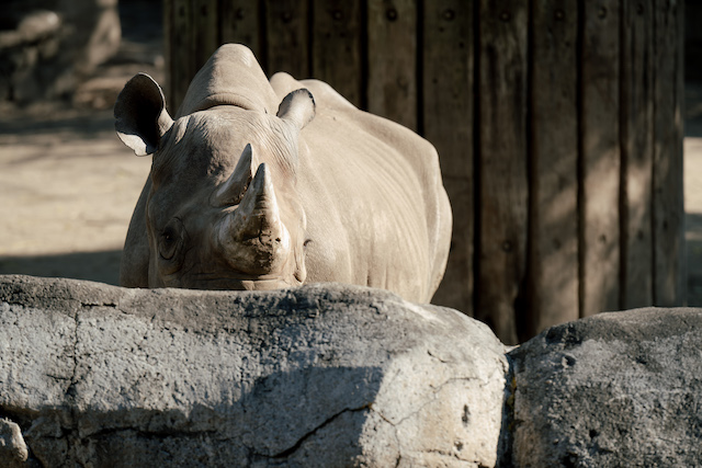 『冬のさ春のね』終わりから知る大事なことの画像