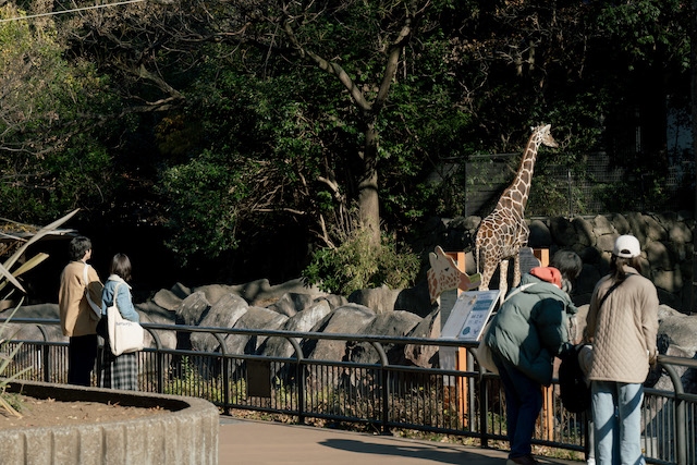 『冬のさ春のね』終わりから知る大事なことの画像