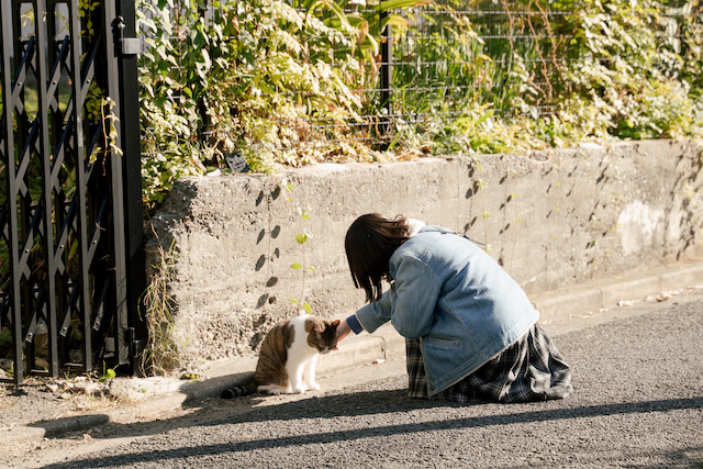 『冬のさ春のね』終わりから知る大事なことの画像