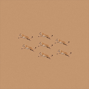 Bialystocks「Everyday」ジャケット写真