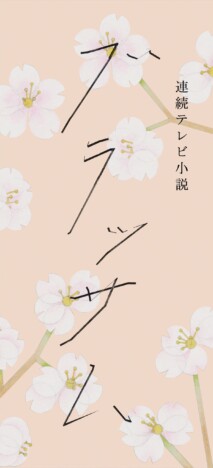 渡部篤郎、国仲涼子、松本穂香、木竜麻生ら　朝ドラ『ブラッサム』新キャスト発表
