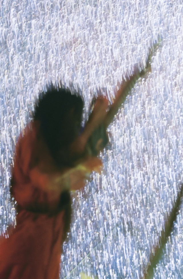 Takako Noelによる写真