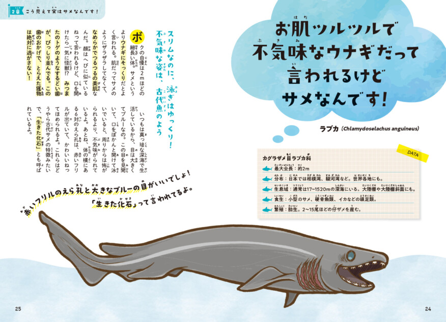 『おどろきのサメ図鑑』発売