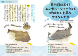 『おどろきのサメ図鑑』発売の画像