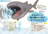 『おどろきのサメ図鑑』発売の画像