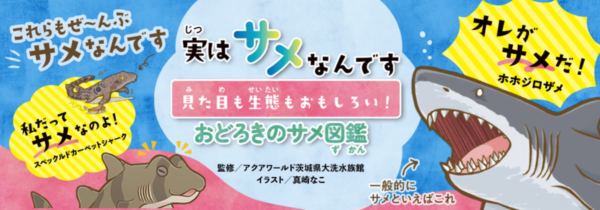『おどろきのサメ図鑑』発売の画像
