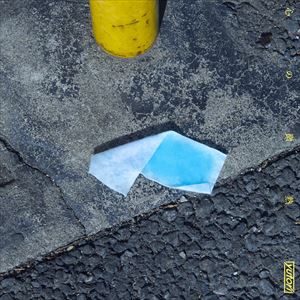 『心の微熱』ジャケット