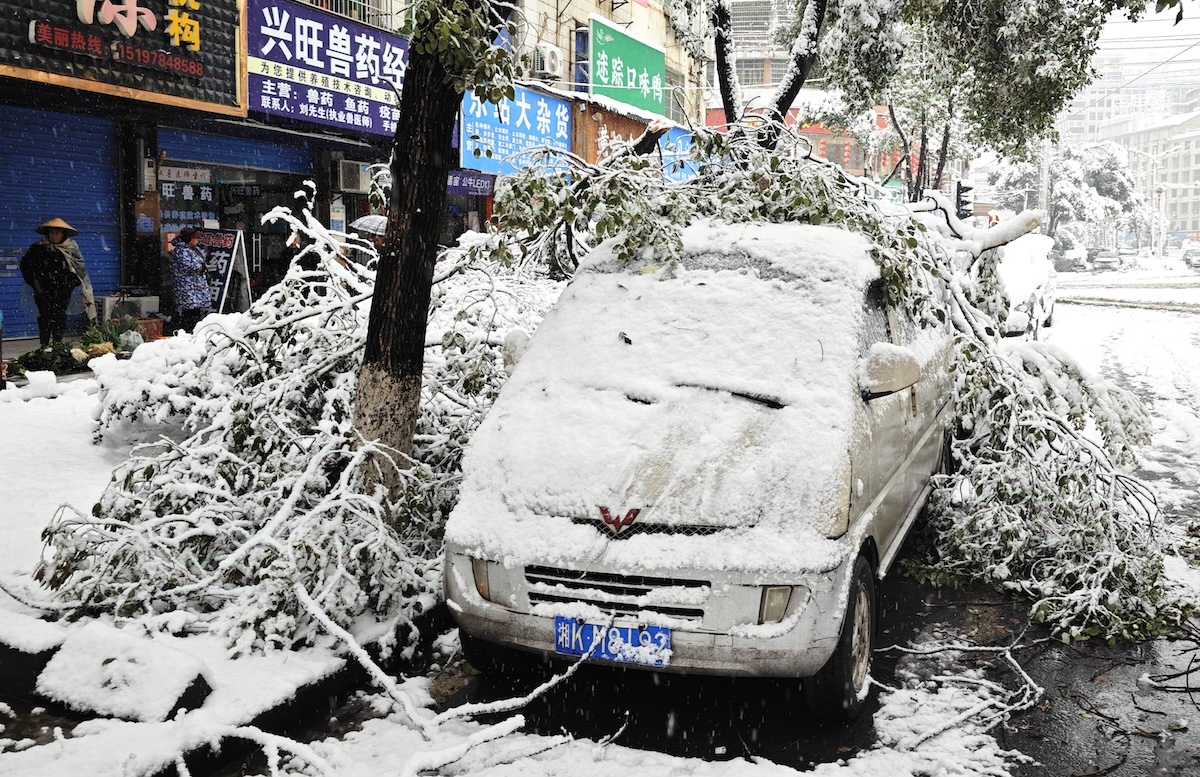 『中国TikTok民俗学』インタビューの画像
