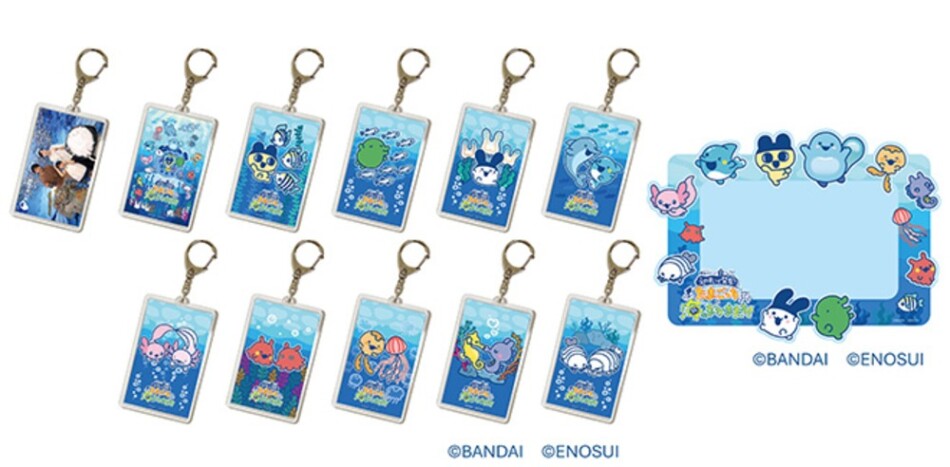 フォトキーホルダー、フォトマグネット