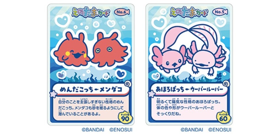 〚前半〛めんだこっち×メンダコ 〚後半〛あほろぱっち×ウーパールーパー