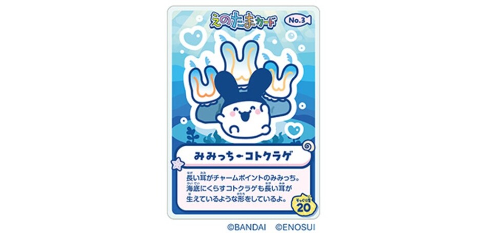 〚前後半共通〛みみっち×コトクラゲ