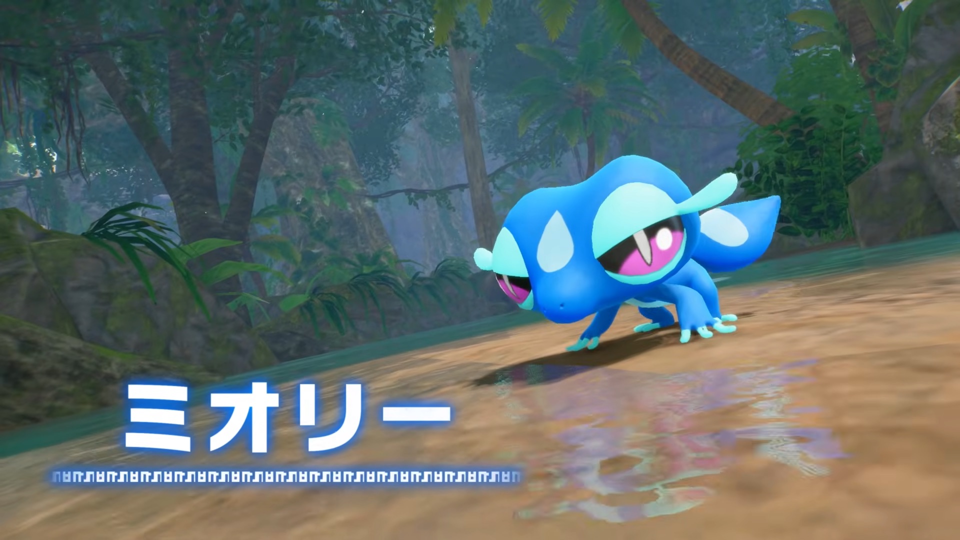 『ポケットモンスター ウインド／ウェーブ』