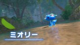 『ポケットモンスター ウインド／ウェーブ』