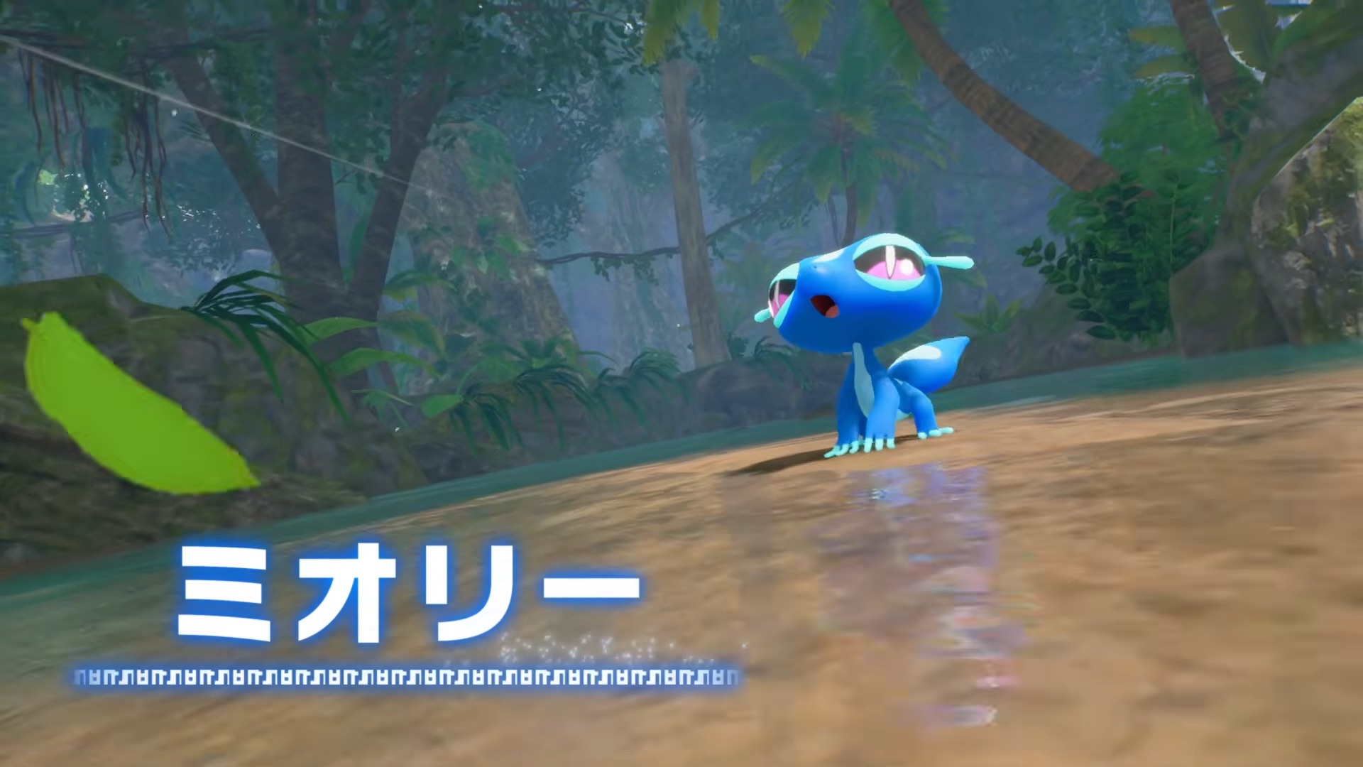 『ポケットモンスター ウインド／ウェーブ』